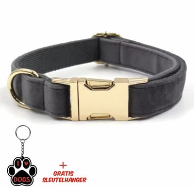 SilverAndCoco® - Grijze Honden Halsband met Gratis Sleutelhanger | Velvet Hond Bandje Hondenhalsband Suède Gouden | Kleding Decoratie | Hondenbandje Huisdier - Grijs / Goud