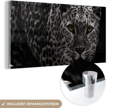 MuchoWow® Glasschilderij 40x20 cm - Schilderij acrylglas - Luipaard - Zwart - Wit - Foto op glas - Schilderijen