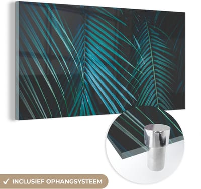 MuchoWow® Glasschilderij 40x20 cm - Schilderij acrylglas - Palm - Palmboom - Tropisch - Foto op glas - Schilderijen