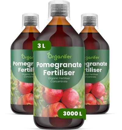 Vloeibare Meststof Voor Granaatappel 3X1 L Voor 3000 L - Npk 2-1-8 - Ondersteunt Krachtige Bloei En Betrouwbare Vruchtzetting - Verbetert Stevigheid - Kleur En Interne Kwaliteit Van De Vruchten - Verbetert De Vitaliteit En Productiviteit - Organifer