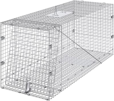 Levende Dierenval 42“ X 16” X 18" Humane Klapval voor Zwerfhonden, Wasberen, Verzinkt Ijzer, met Handvat
