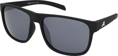 Zonnebrillen Alpina Nacan III Black Matt