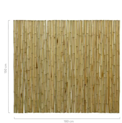 Masters of Bamboo® Bamboemat Large - 180 x 150 cm - Naturel - Bamboe schutting op rol - Bamboe mat