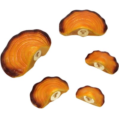 Simulatie Paddenstoel Plank Decoratie Set Hars Kunstmatige Mini Reishi Paddenstoel Wandplanken voor Cottage Tuin Buiten orange