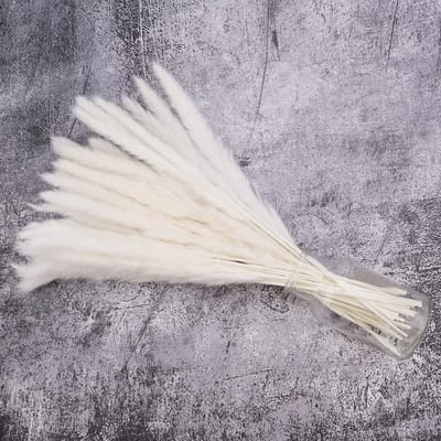 30 Stuks Wit Gedroogd Pampasgras 40cm - Natuurlijke Boeketten voor Boho Woondecoratie en Bruiloften