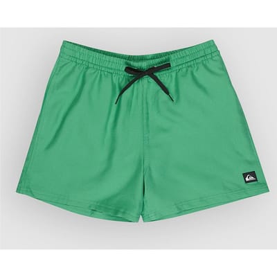 Surf shorts Quiksilver Everyday Deluxe 15"