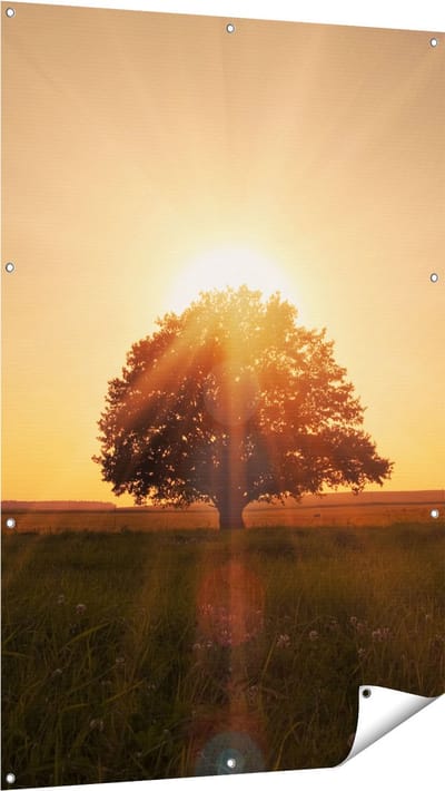 Gards Tuinposter Zonsondergang Achter een Grote Boom - 100x150 cm - Tuindoek - Tuindecoratie - Wanddecoratie buiten - Tuinschilderij