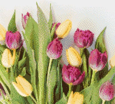 MyHobby Borduurpakket – Tulpen 30×30 cm - Aida borduurstof 5,5 kruisjes/cm (14 count) - Telpatroon - Borduurgaren - Borduurnaald - Handleiding - Voor Beginners & Gevorderden - Complete borduurset