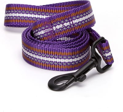 Nobleza Hondenriem Reflecterend - 120 cm - Nylon Hondenlijn - Uitlaatriem - 2,5 cm Breed - Paars