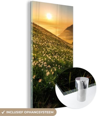 MuchoWow® Glasschilderij 20x40 cm - Schilderij acrylglas - Bloemen - Zon - Bergen - Foto op glas - Schilderijen