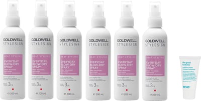6 x Goldwell Stylesign Everyday Blow-Dry Spray 200ml + WILLEKEURIG Travel Size