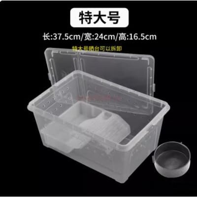 Boîte d'alimentation couverte pour reptiles, larves de bombyx, bébés araignées, caméléons, grenouilles à cornes de dragon, escargots, réservoir pour animaux de compagnie, insectes, tortues