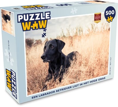 Puzzel Een Labrador Retriever ligt in het hoge gras - Legpuzzel - Puzzel 500 stukjes