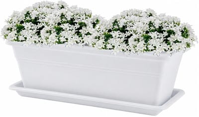 Plasticforte Plantenbak met water opvangschotel - wit - rechthoek - 50 x 18 x 15 cm - balkon - terras - kunststof