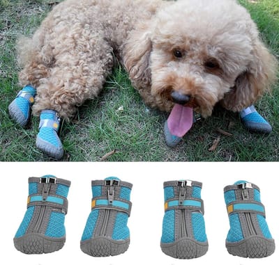 Schoenen Laarzen, Hond Zomer Schoenen Laarzen Booties met Ademend Outdoor Mesh Antislip Rubberen Zolen Voorkomen Krassen Likken(#4-Blauw meer)