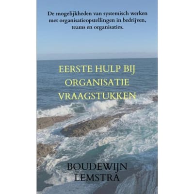 Eerste Hulp Bij Organisatievraagstukken - Boudewijn Lemstra