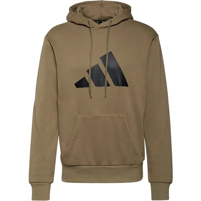 Hooded sweatshirt adidas Sportswear Future Icons Logo Graphic
