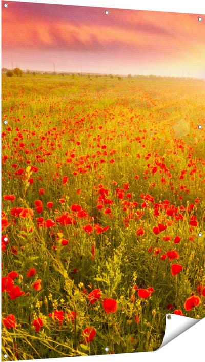 Gards Tuinposter Rode Klaproos Bloemenveld - Zonsondergang - 100x150 cm - Tuindoek - Tuindecoratie - Wanddecoratie buiten - Tuinschilderij