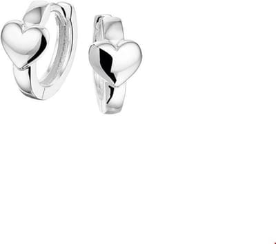 Klapoorringen hart - PSN1324684