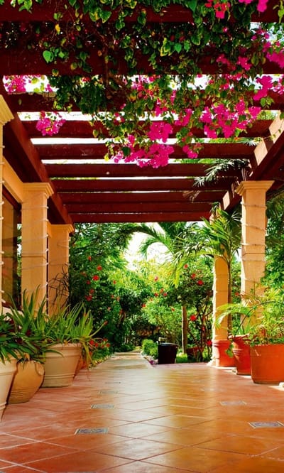 Fotobehang - Terrace 150x250cm - Vliesbehang
