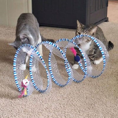 S-vormige Kattunnel Speelgoed, Gaas en Kant Patchwork Ontwerp, Opvouwbaar Met Geluidseffect, Geschikt Voor Binnen Familievermaak & Stressverlichting blauw