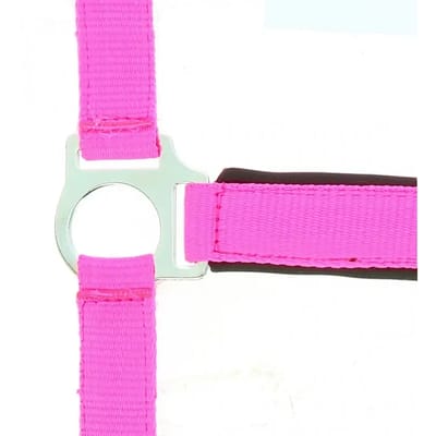 Halster voor paarden Norton Fluo
