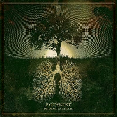 Photosynthesis - Botanist