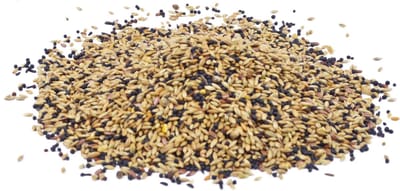 Budget kanarievoer- Goedkoop kanariezaad- Kanarie mengeling budget- Zak 4 kilo