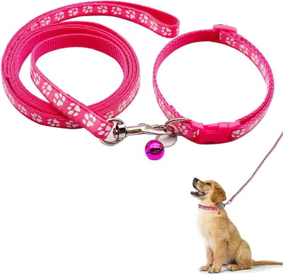 Zachte Verstelbare Hondenhalsband en Leash Set met Pootafdruk voor Kleine en Middelgrote Honden en Katten, Ideaal voor Wandelen en Training