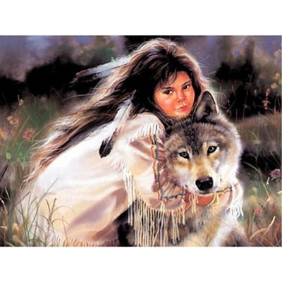 DIY diamant borduurwerk schilderij vrouwen Wolf gebied hoogtepunt 20X30CM black