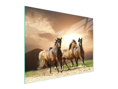 TMK ArtDeko - Snijplank - Glas - 52x40 cm - Hittebestendig