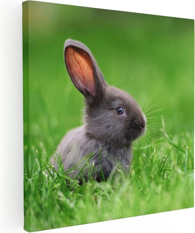 Artaza Canvas Schilderij Konijn In Gras - 30x30 cm - Klein - Wanddecoratie Dierenkop - Muurdecoratie Bos - Schilderijen Op Canvas Dieren