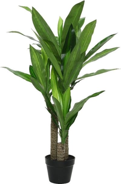 Bellatio flowers & plants Kunstplant drakenbloedboom - in pot - Dracaena - 105 cm