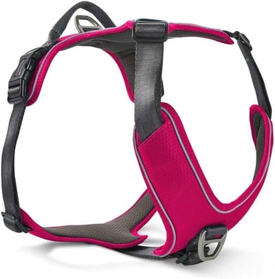 Comfortabel Honden tuigje Verstelbaar - Lichtgewicht & Ademend | Maat 50-57,5 cm Magenta/Antraciet
