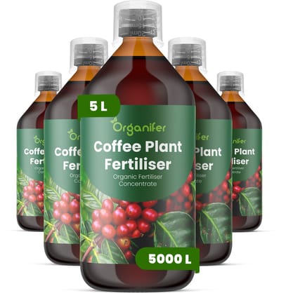 Vloeibare Meststof Voor Koffieplanten 5X1 L Voor 5000 L - Npk 2-1-8 - Gezonde Groei - Sterke Bladontwikkeling - Sterke Wortels - Weerbaarheid - Bloemvormin - Algehele Vitaliteit - Sierkoffievariëteiten - Organifer