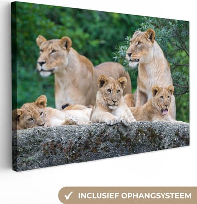 Canvas Schilderij Leeuwen - Dieren - Welpen - 60x40 cm - Wanddecoratie