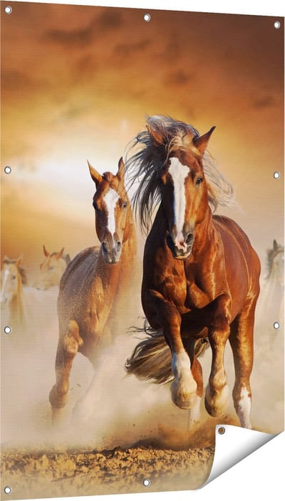 Gards Tuinposter Wilde Paarden in het Zand - 80x120 cm - Tuindoek - Tuindecoratie - Wanddecoratie buiten - Tuinschilderij