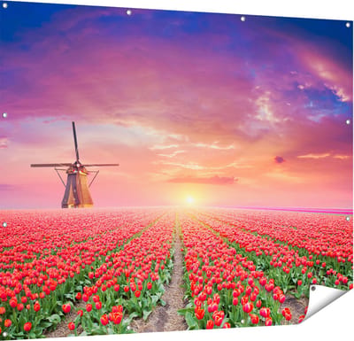 Gards Tuinposter Rode Rozen Bloemenveld met een Windmolen - 150x120 cm - Tuindoek - Tuindecoratie - Wanddecoratie buiten - Tuinschilderij