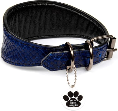 Luxe leren hondenhalsband met QR-code en metalen ringen voor windhonden - Veilig en stijlvol