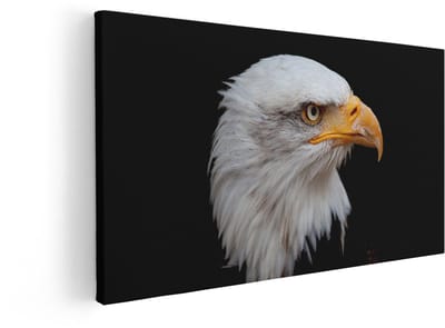 Artaza Canvas Schilderij Amerikaanse Zeearend - 80x40 cm - Wanddecoratie Vogels - Muurdecoratie Natuur - Decoratie Dierenkop Zwart