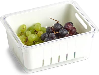 Zeller groente en fruit bakje koelkast 1 uitneembaar bakje present - Transparant & wit - Met deksel