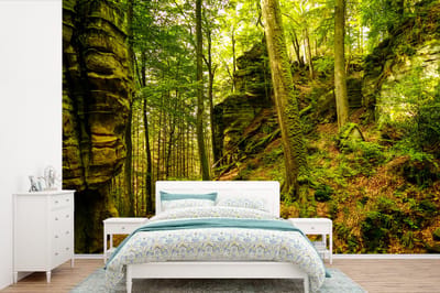 Behang - Fotobehang Bomen - Steen - Bos - Natuur - Planten - Breedte 450 cm x hoogte 300 cm