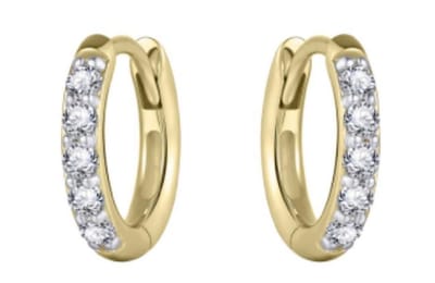 Schitterende 14K Gouden Oorringen belegd met Zirkonia's