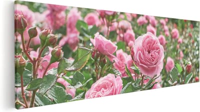 Artaza Canvas Schilderij Bloemen - 60x20 cm - Wanddecoratie Woonkamer - Muurdecoratie Rozen - Kamer Accessoires Stilleven