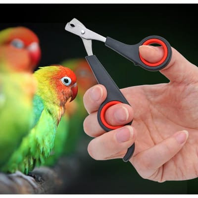 Huisdier Nagelknipper Cutter Papegaaien Nageltrimmer Schaar voor Honden Katten Vogels Cavia Dierenklauwen Pootknipper Vogel Papegaaienschaar zwart