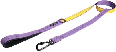 Boondog Hondenriem 1.4m - Sterke Nylon Riem - Comfortabele Grip - Lichtgewicht Karabijnhaak - Voor Dagelijks Gebruik - Purple/Lemon - Maat S