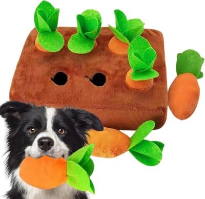 Snuffelmat Hond - Interactief Speelgoed - Neuswerk Training - Wortel Ontwerp - 24 x 18 x 6 cm - Niet gespecificeerd