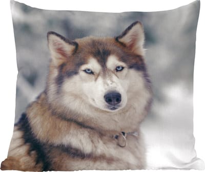 Sierkussens - Kussentjes Woonkamer - 60x60 cm - Portret van een Husky