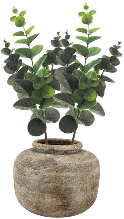 Bellatio Design Kunstplant takken Eucalyptus Bella - 2x - 38 cm - groen - decoratie bladgroen