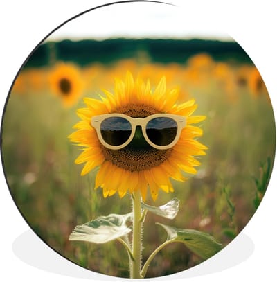 WallCircle - Wandcirkel - Muurcirkel - Zonnebloem - Veld - Zonnebril - Aluminium - Dibond - 30x30 cm - Binnen en Buiten